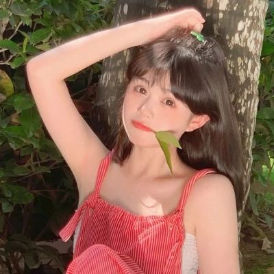 猴儿岛宝藏的诅咒内购破解版下载